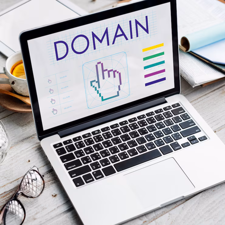 what is domain 